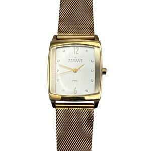 Skagen 691SGG Women All Stainless Steel Watch 24mm - New Battery - WR Adjustable